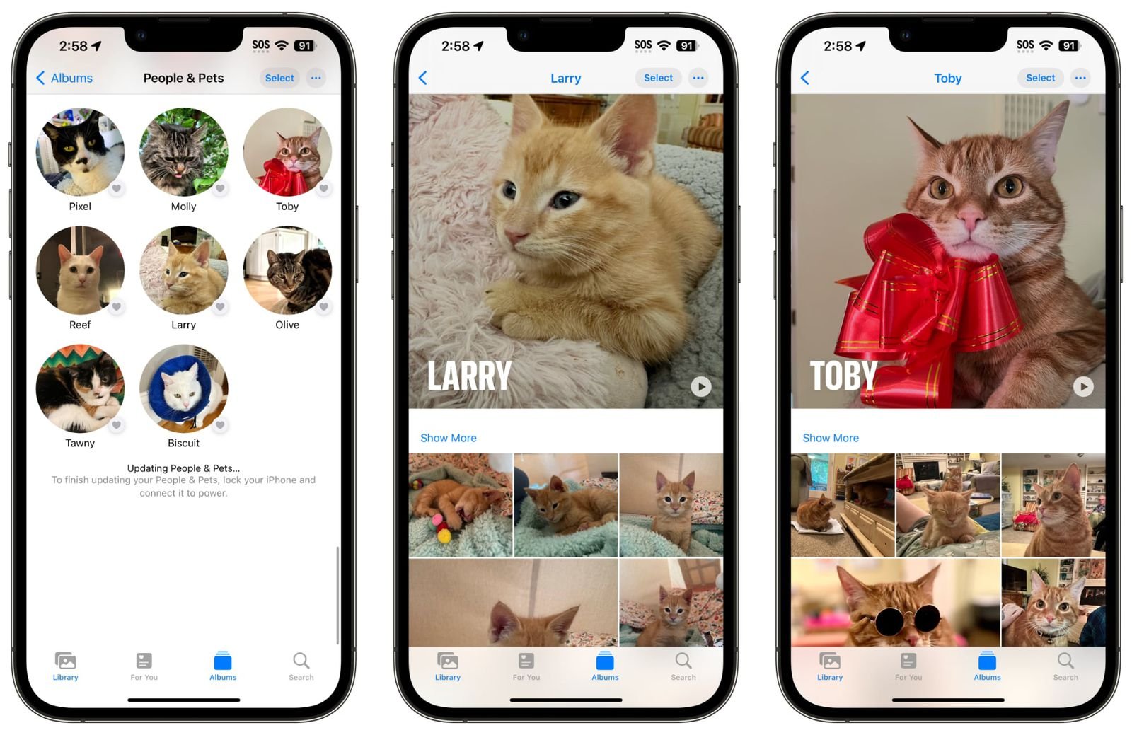 Pet Parents Rejoice! iOS 17 Unleashes Purrfect Photo Organization with Pet Recognition
