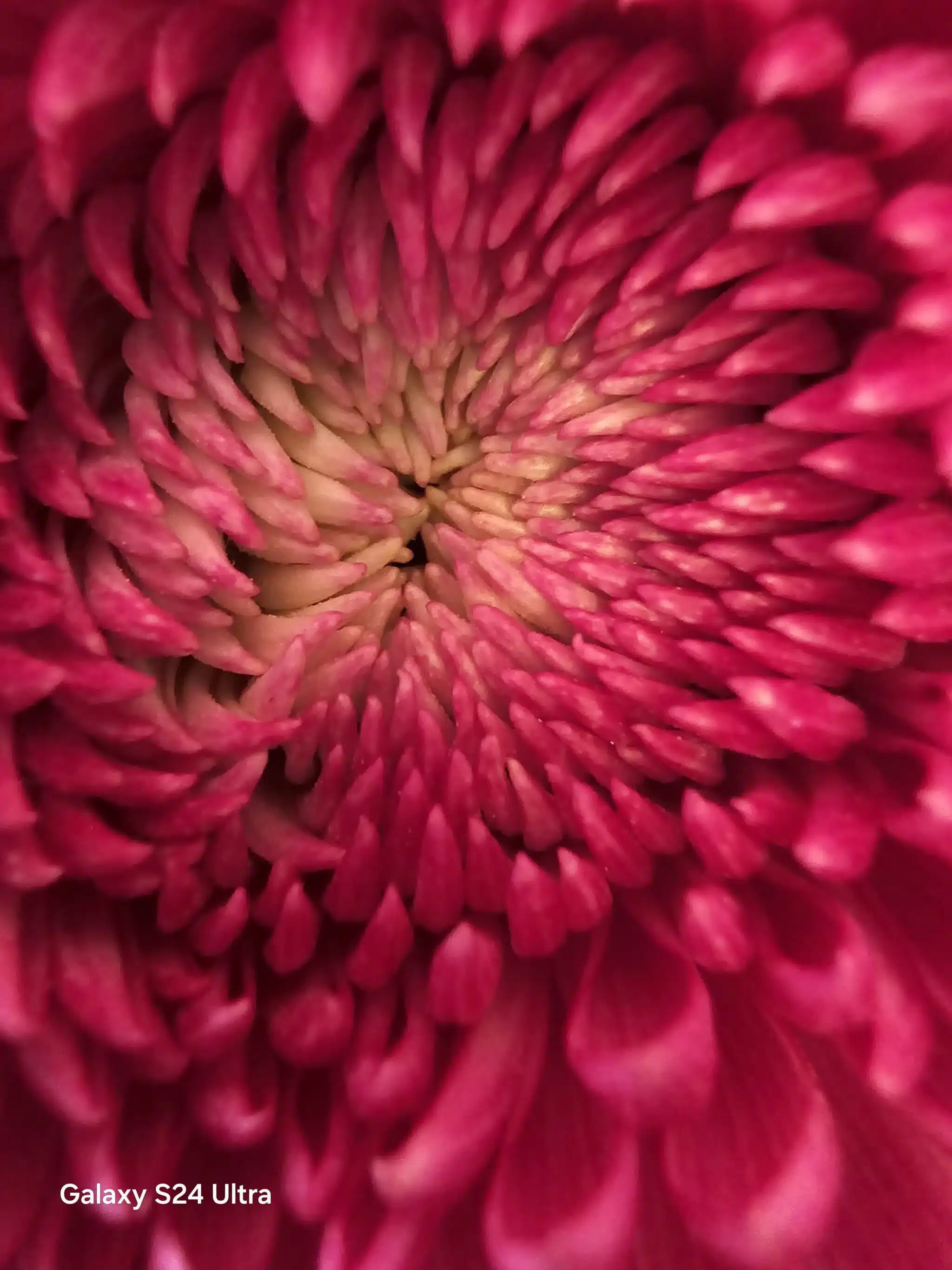 Samsung Galaxy S24 Ultra Review - Another remarkable flagship from the house of Samsung! 11 S24 Ultra Camera