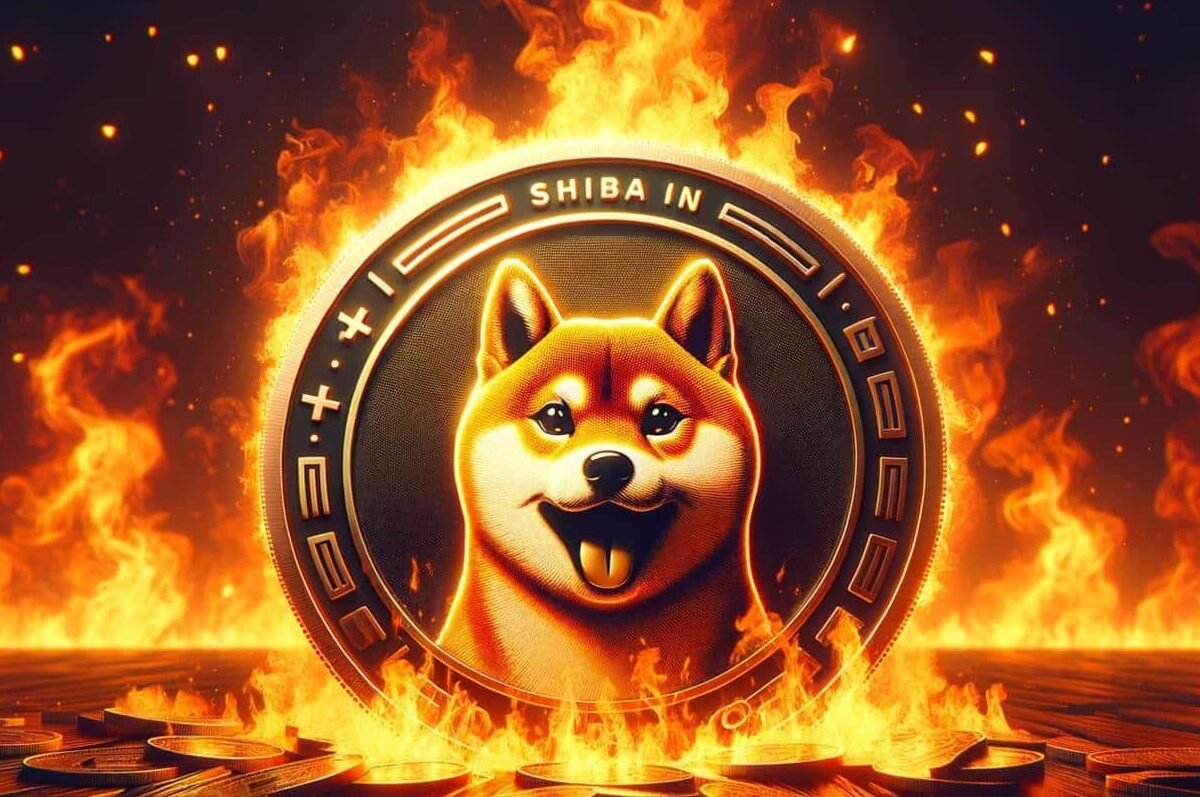 Shiba Inu Surges Past Cardano in Trading Volume Amid Meme Coin Frenzy