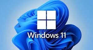 Windows 11