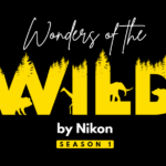 Nikon India and WWF-India Launch Wildlife Photography Contest