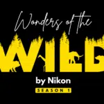 Nikon India and WWF-India Launch Wildlife Photography Contest