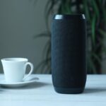 speaker1706701316622