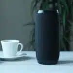 speaker1706701316622