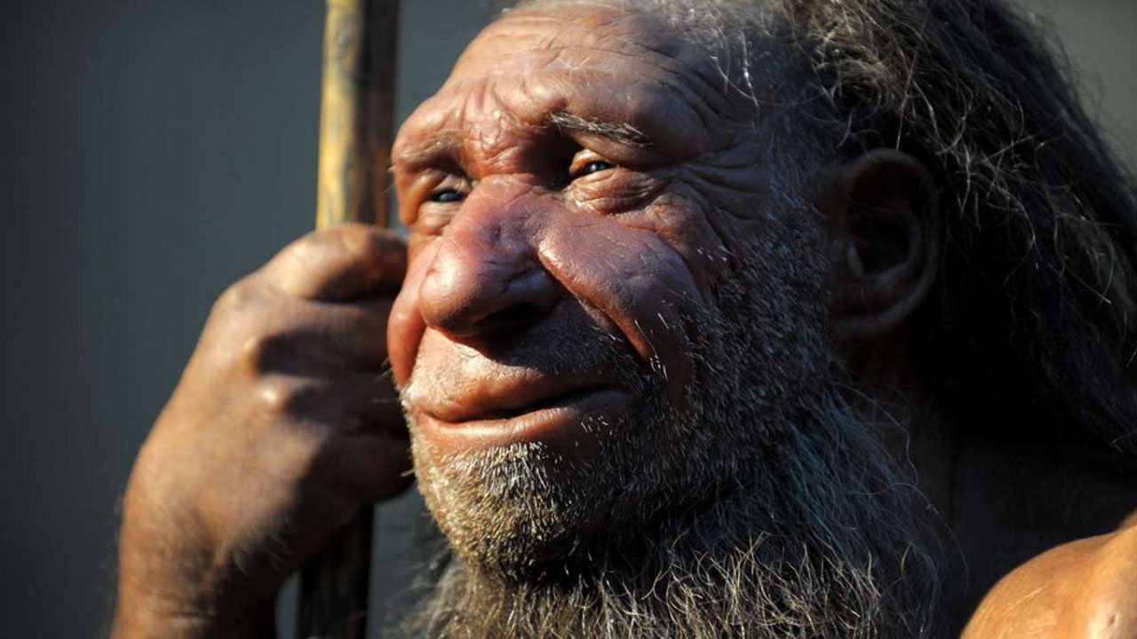 Ancient Skull Rewrites Human Evolution Story – Meet Dragon Man