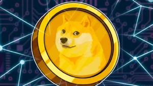 Dogecoin's Remarkable Journey