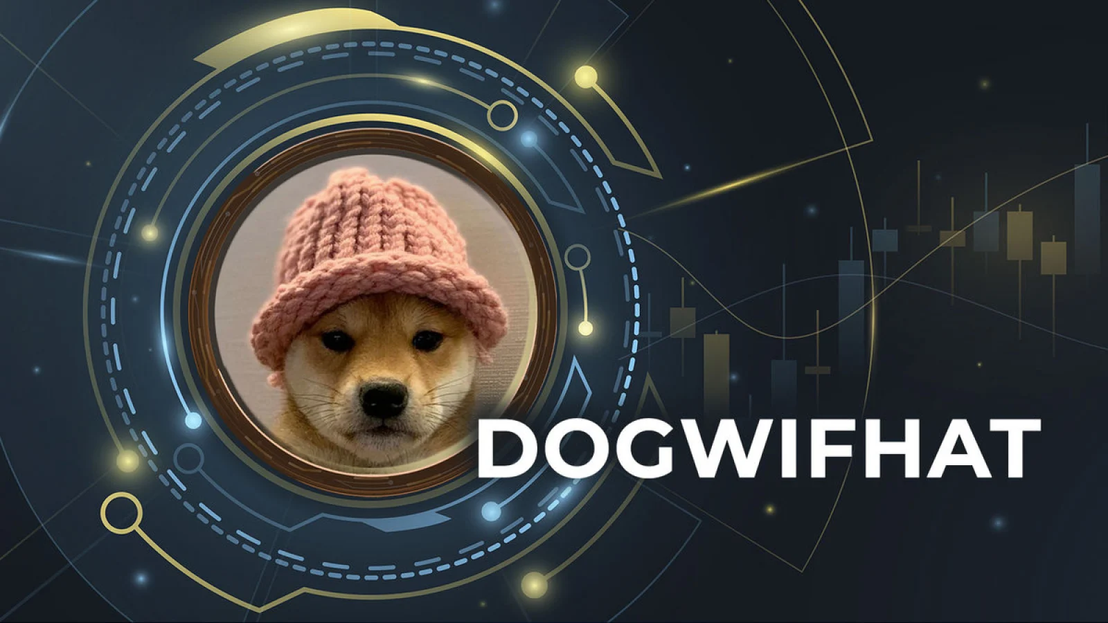 Dogwifhat The Solana Meme Coin That's Outpacing BONK and DOGE