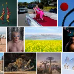 Open Competition 2024 Category Winners & Shortlist Announced