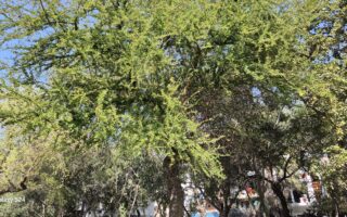 Samsung Galaxy S24 Review