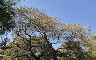 Samsung Galaxy S24 Review