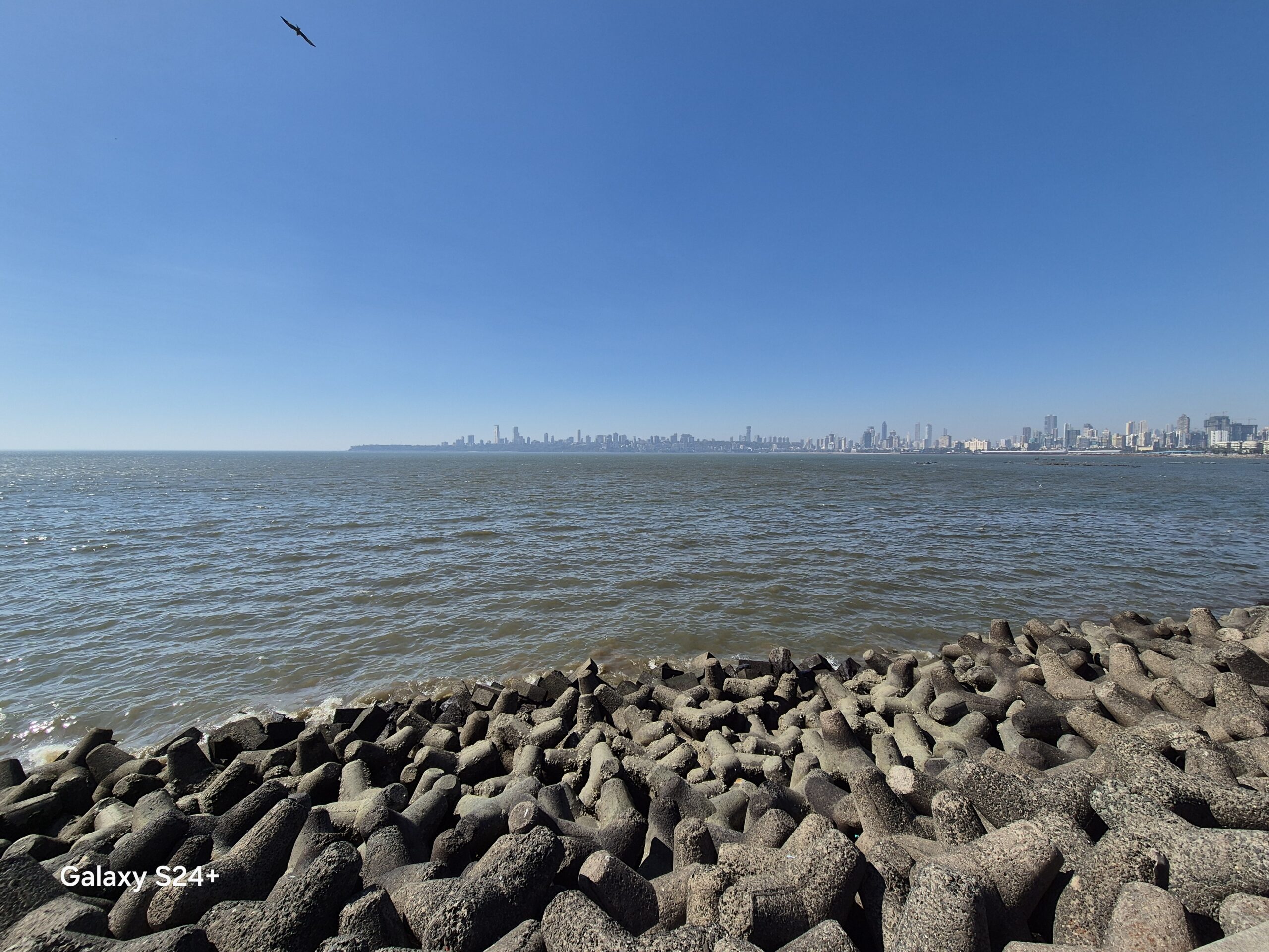 Samsung S24 Plus Camera Samples scaled