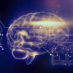 World Wide Web Inventors Vision 2