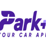 Survey Reveals Indian Car Owners' Key Demands for 2024 Elections