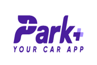 Survey Reveals Indian Car Owners' Key Demands for 2024 Elections