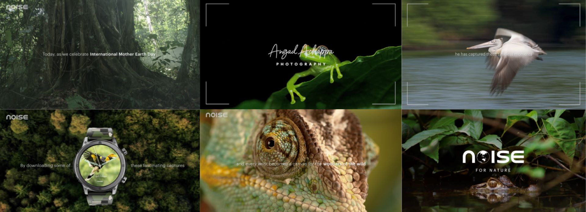 Noise Partners with Angad Achappa for Earth Day Biodiversity Campaign 1 Noise Partners with Angad Achappa for Earth Day Biodiversity Campaign