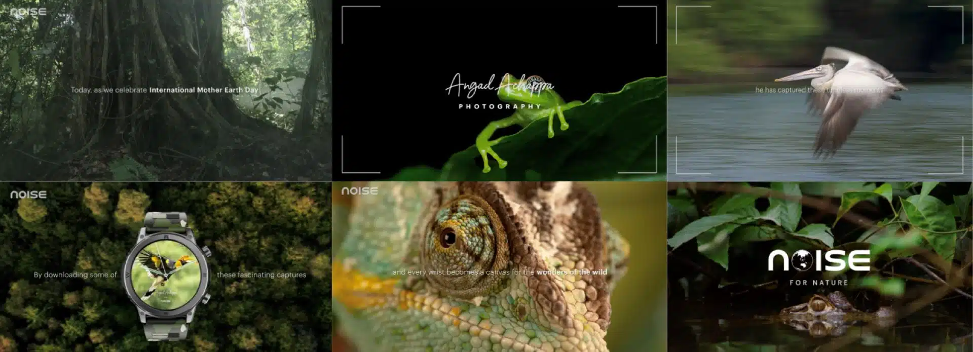 Noise Partners with Angad Achappa for Earth Day Biodiversity Campaign