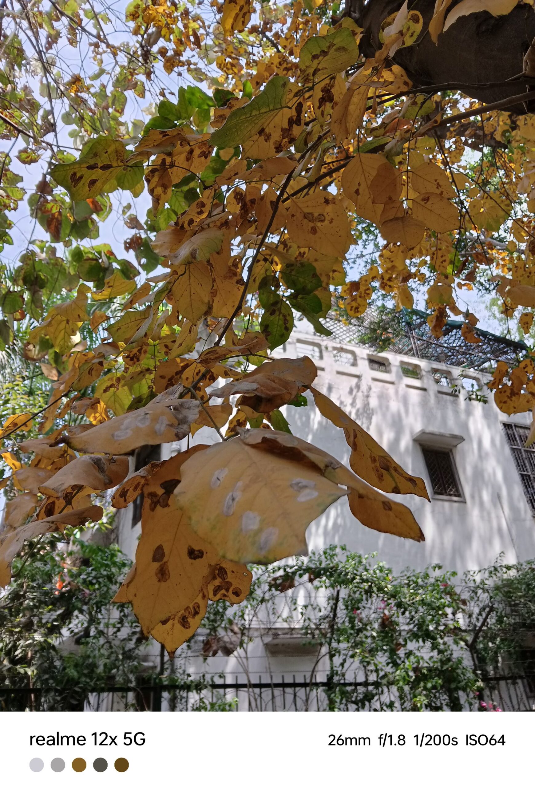 Realme 12x 5G Review