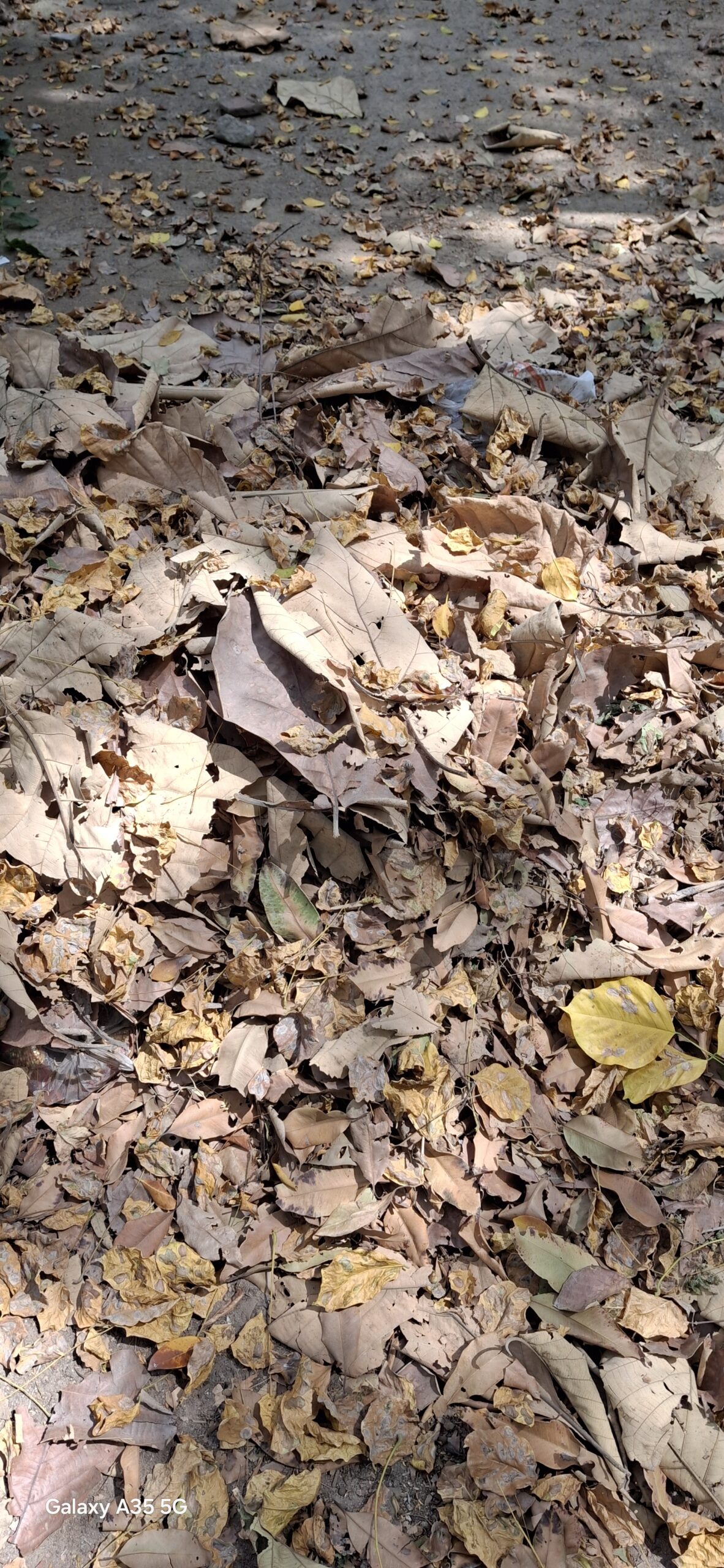 Samsung Galaxy A35 5G 3 scaled