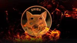 Shiba Inu Burn Rate Jumps 300%