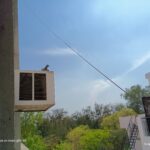 moto g64 camera samples 2