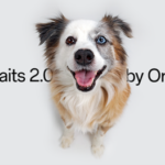 OnePlus Hosts Pawtraits 2.0 Event in Mumbai