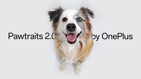 OnePlus Hosts Pawtraits 2.0 Event in Mumbai 1 OnePlus Hosts Pawtraits 2.0 Event in Mumbai