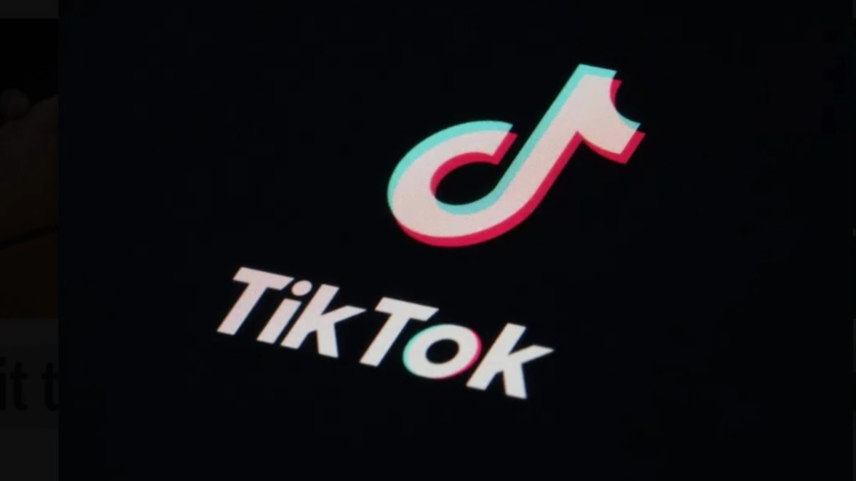 TikTok and ByteDance Mount Legal Challenge Against U.S. Ban
