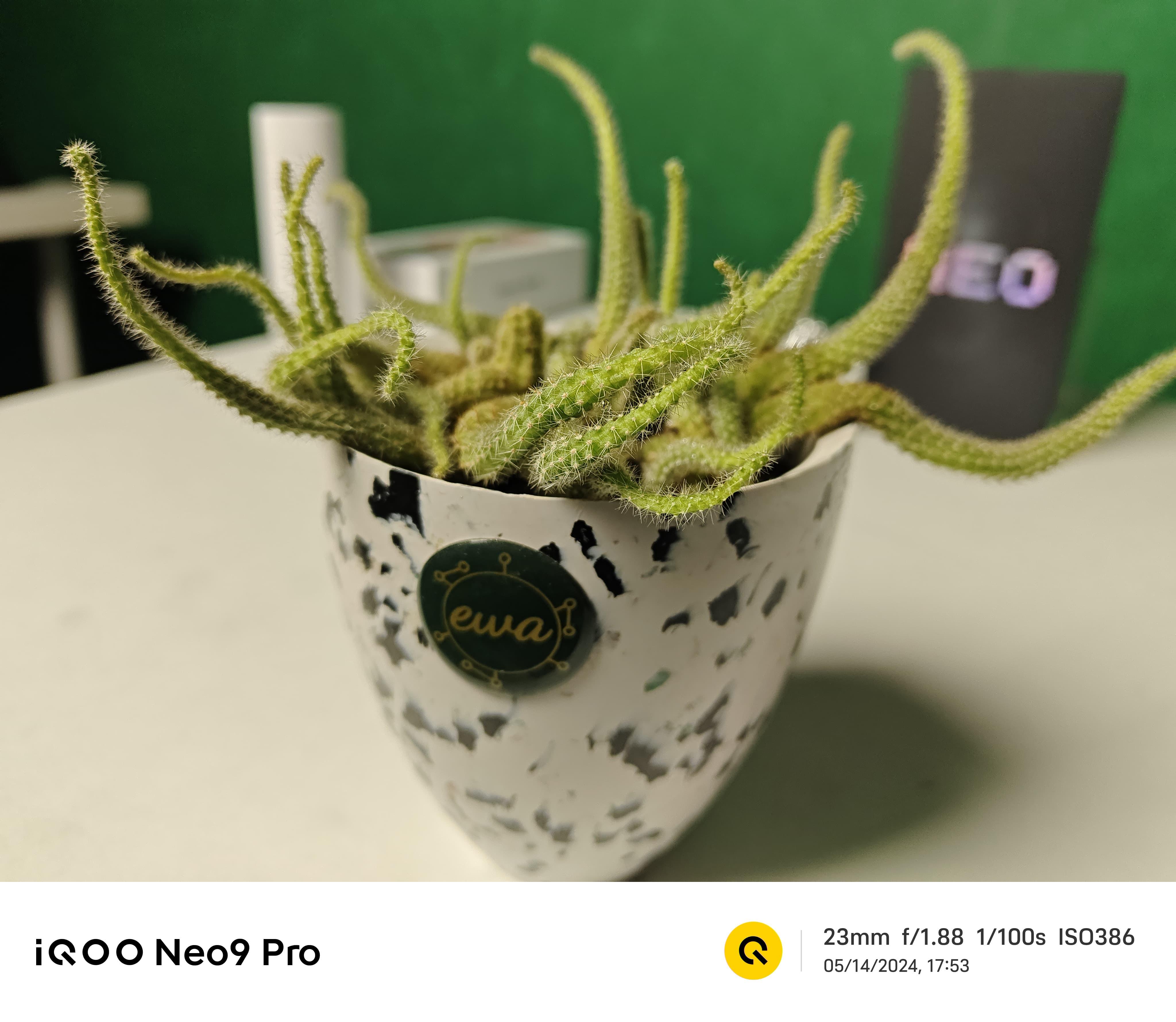 iQOO Neo 9 Pro Review