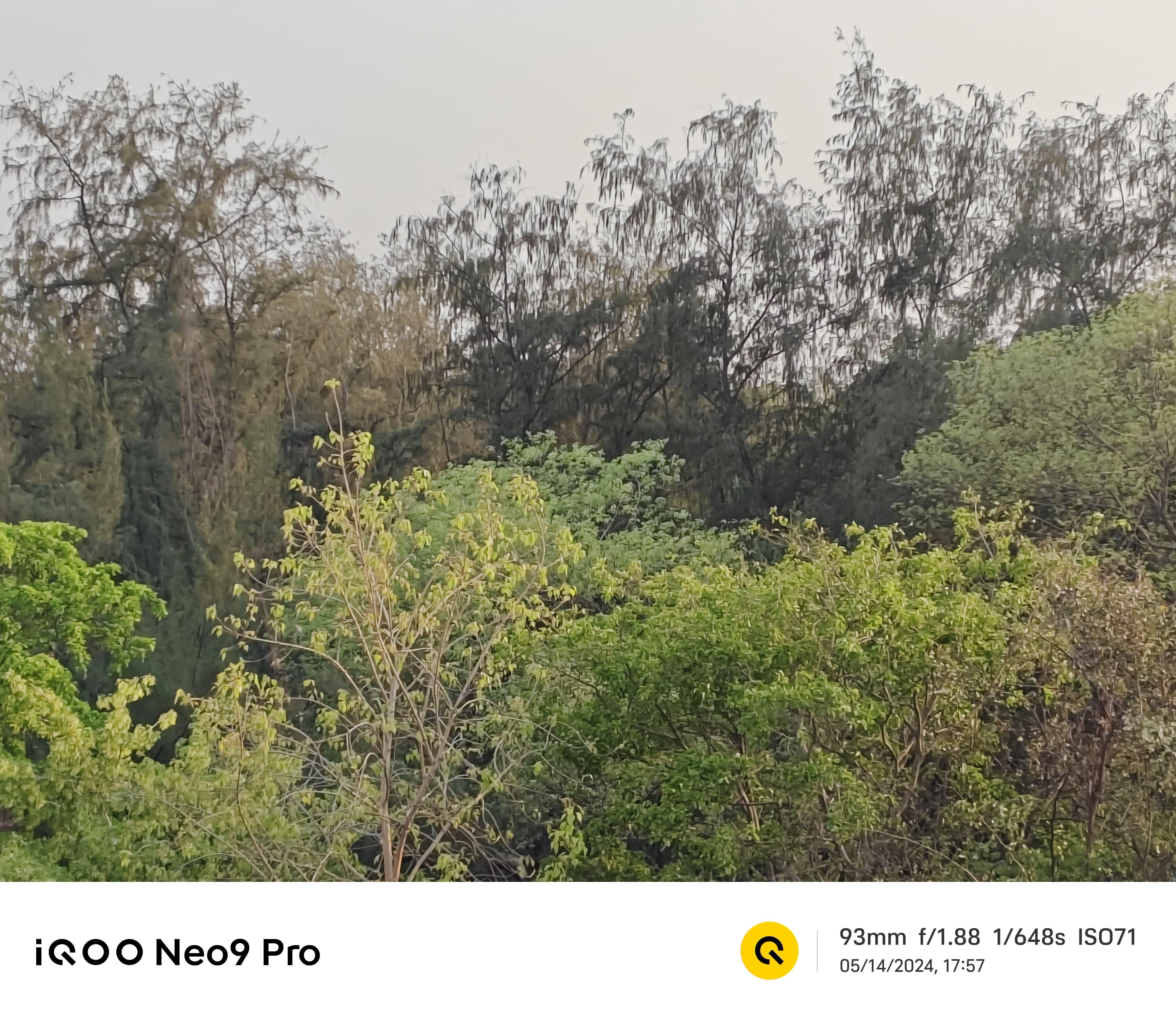 iQOO Neo 9 Pro Review
