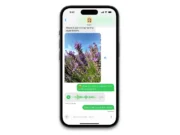 Apple Signals a New Era for Texting with RCS Support in iOS 18