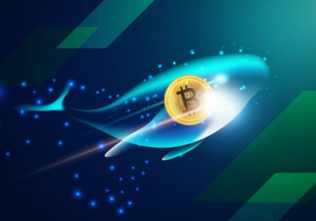 Bitcoin's Potential Rebound