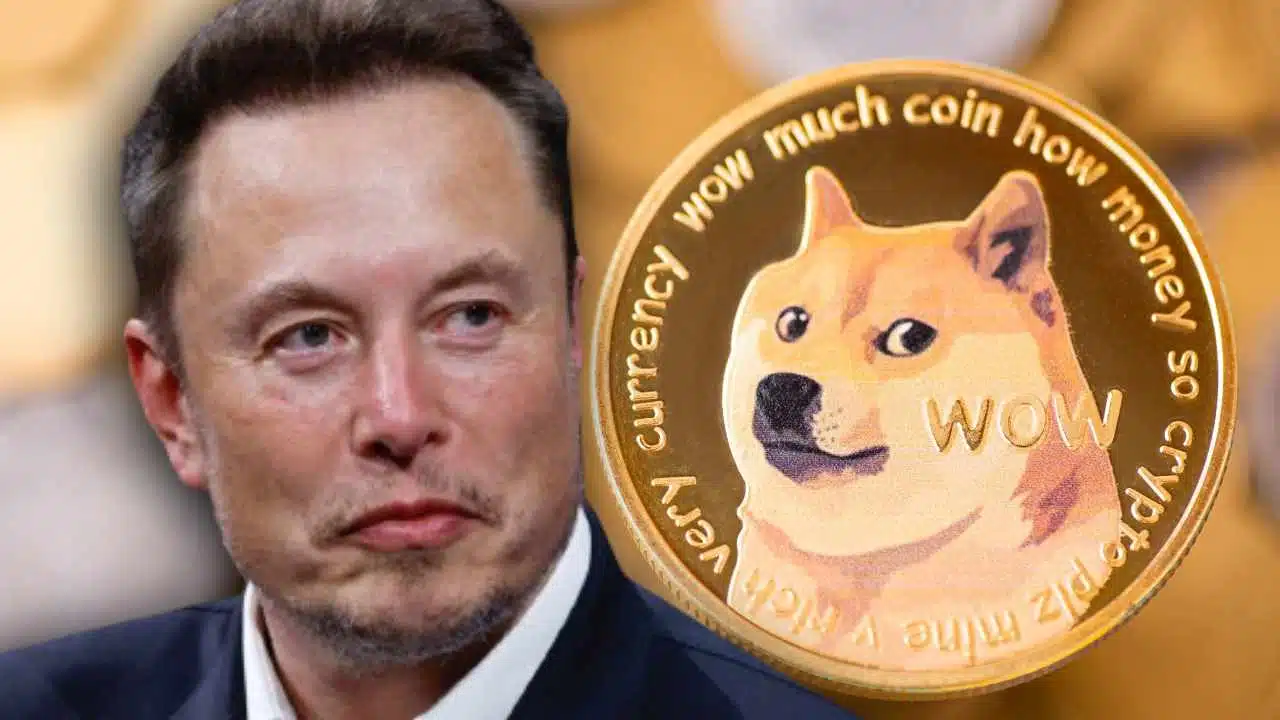 Elon Musk and Dogecoin