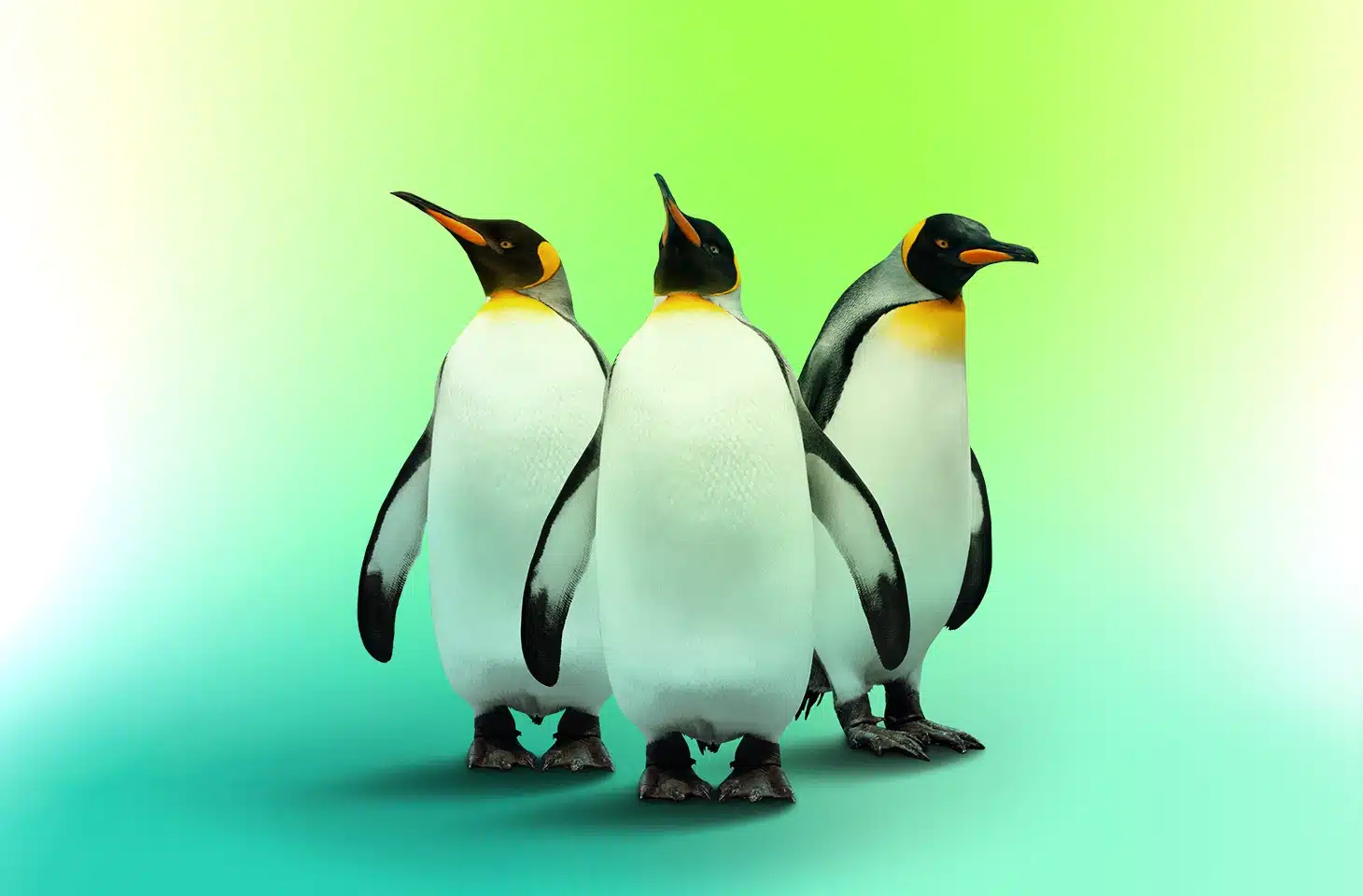 Kaspersky Releases Free Linux Virus Removal Tool
