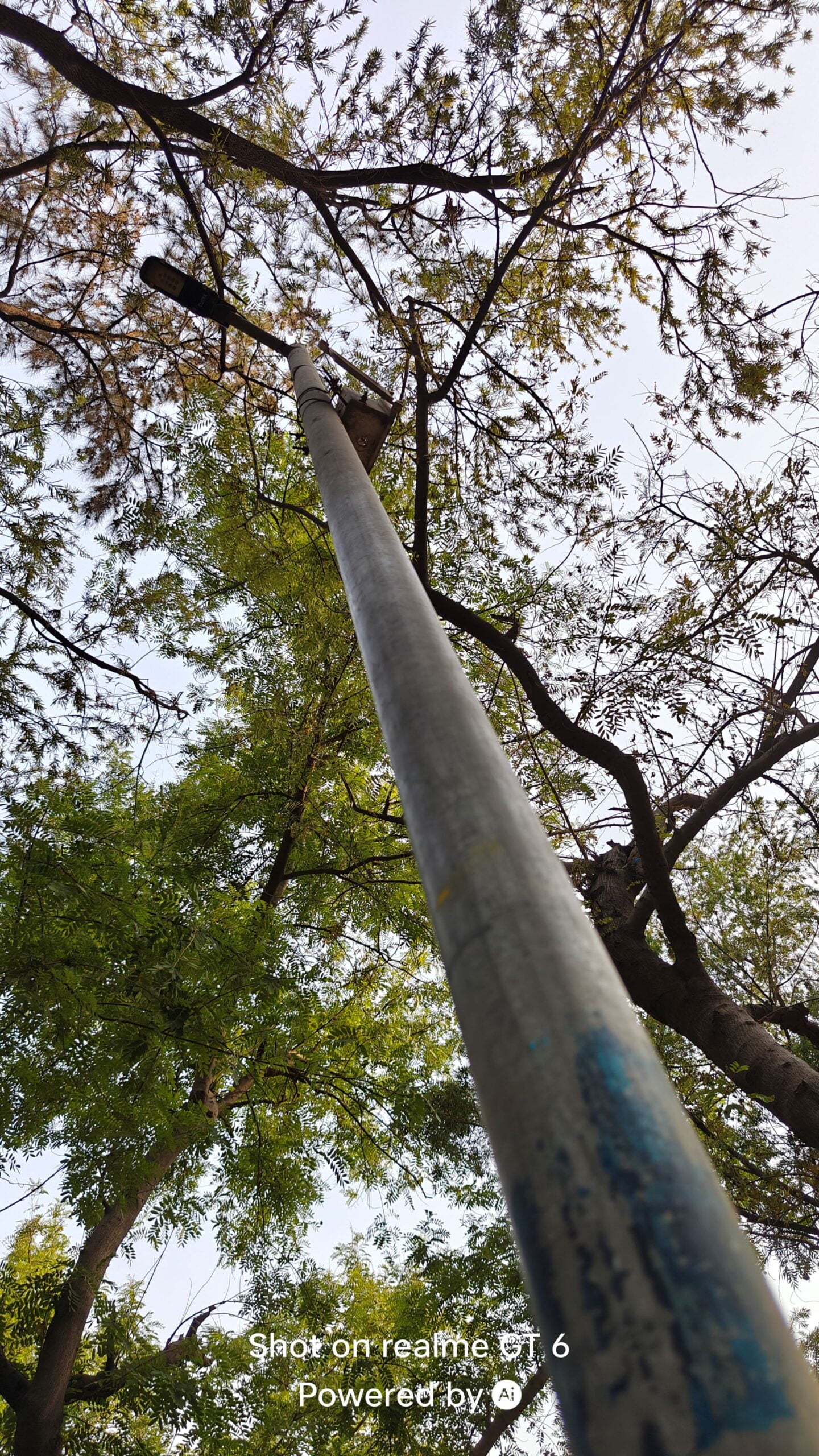 realme GT 6 Review: Does the AI Flagship Killer Live Up to the Hype? 14 realme GT 6 Review