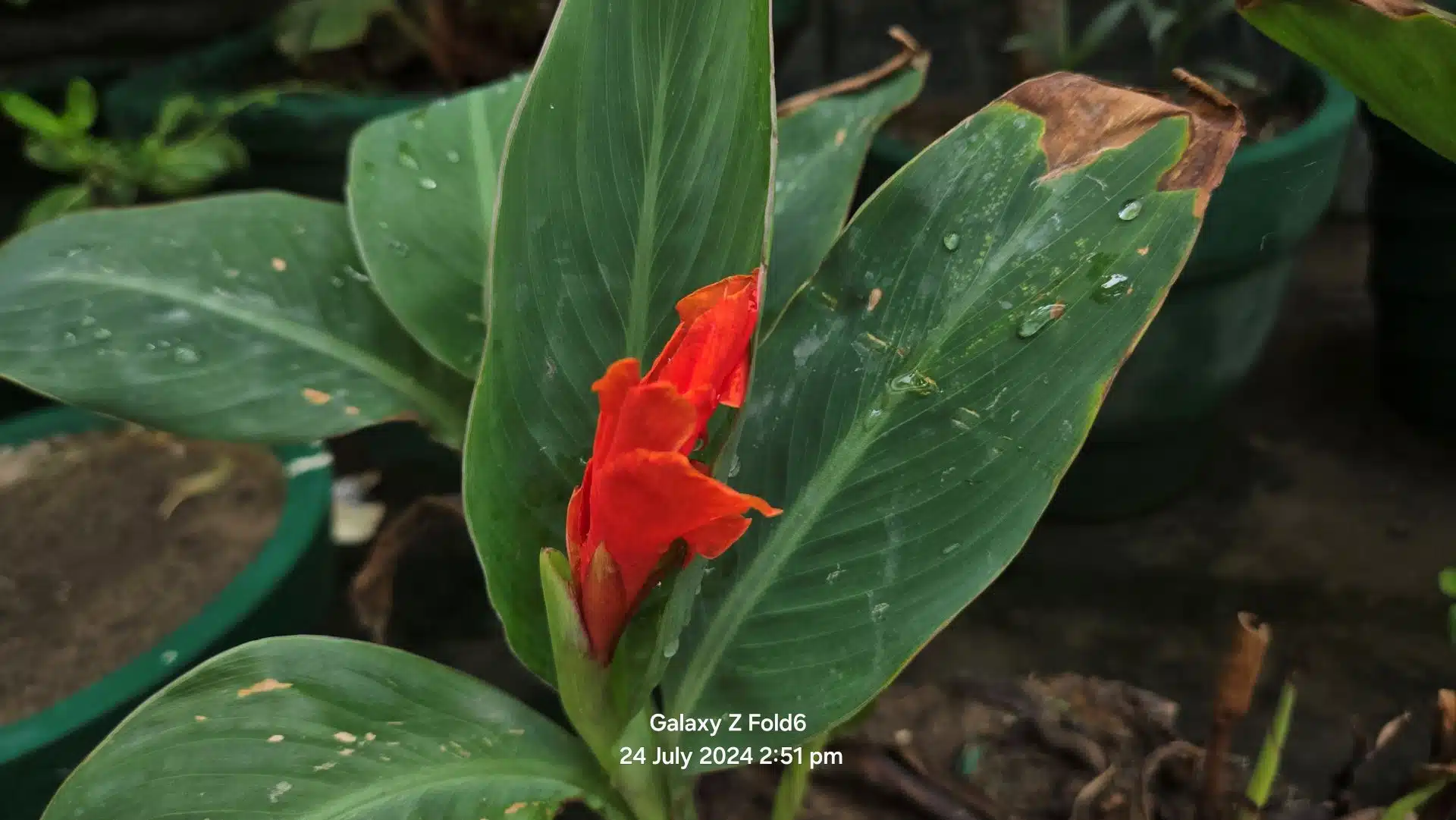 Samsung Galaxy Z Fold6 Review