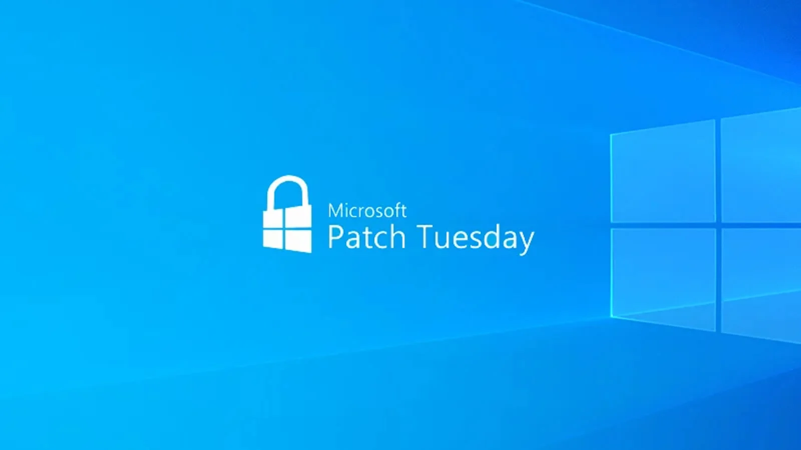 A Deep Dive into Microsoft's August 2024 Patch Update