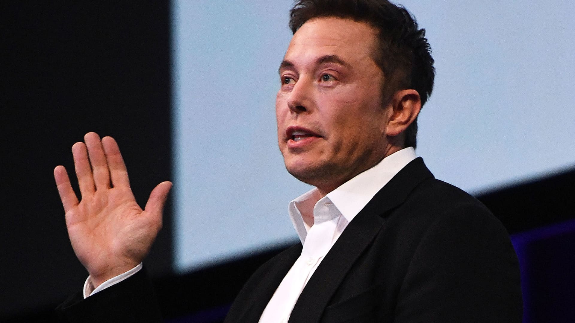 Elon Musk Chops Down 500,000 Trees for New Tesla Factory