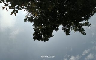 OPPO K12X 5G Smartphone Review: Budget-Friendly 5G Phone with Impressive Features 9 OPPO K12X 5G