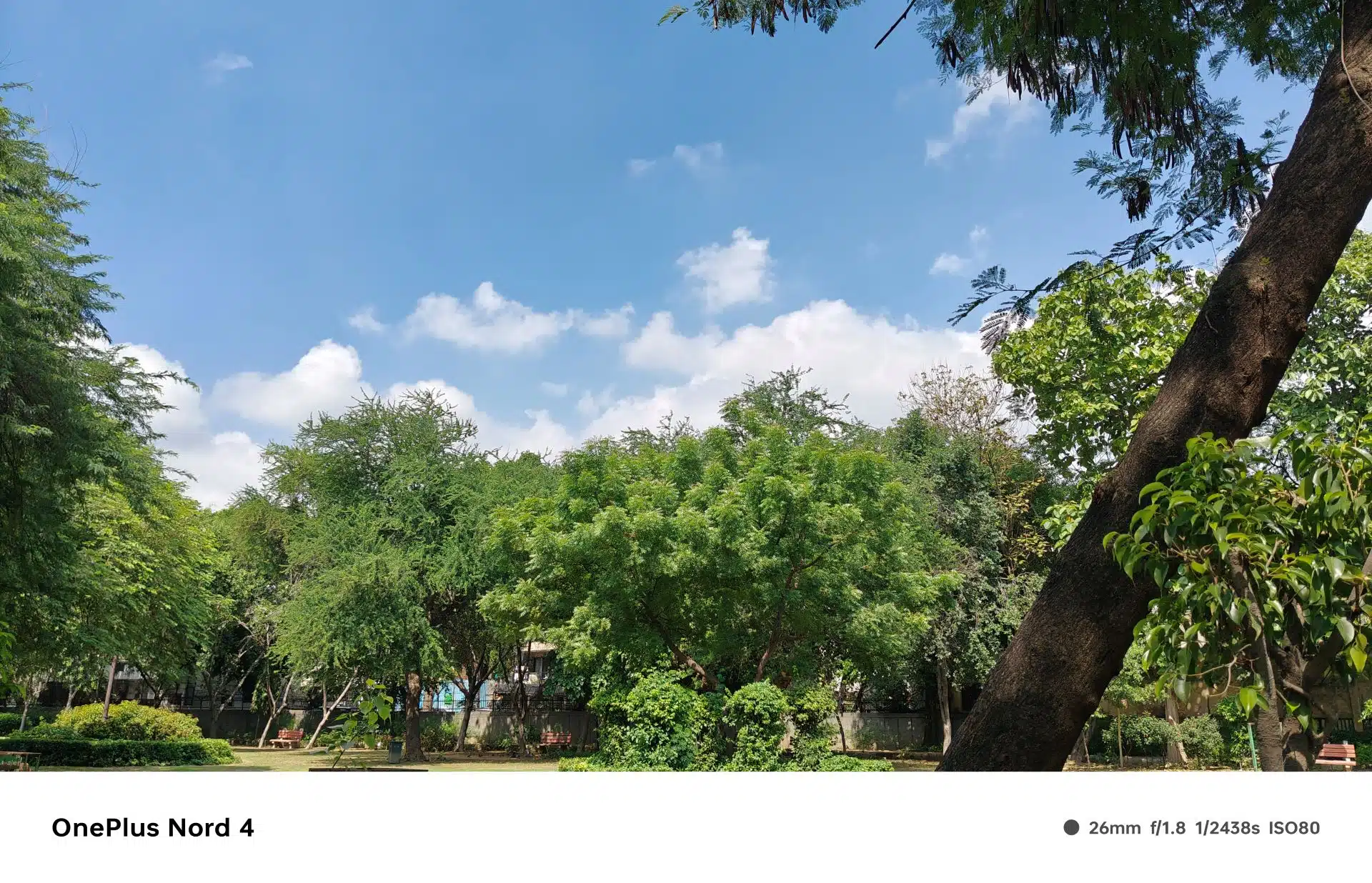 OnePlus Nord 4 Review