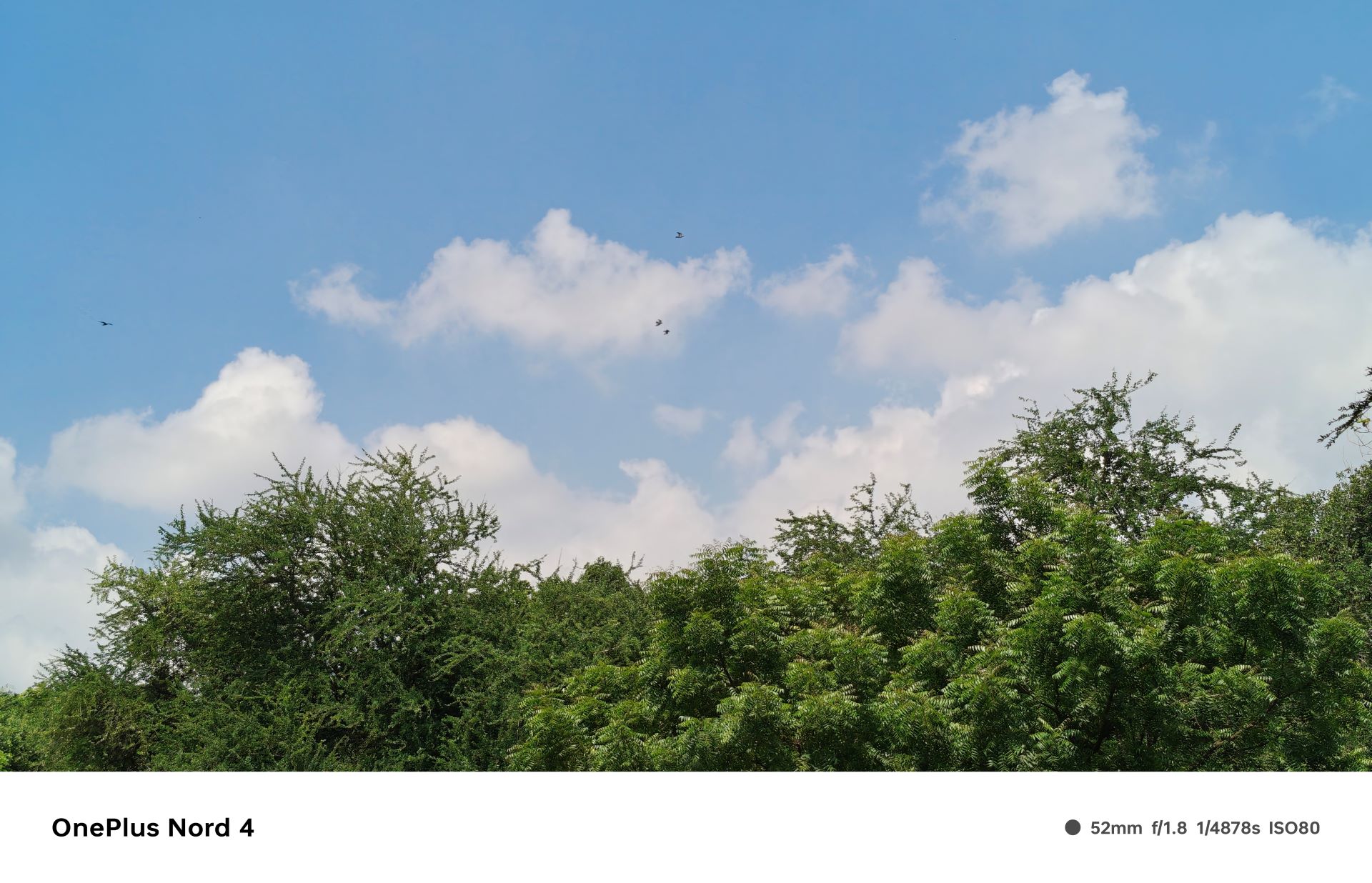 OnePlus Nord 4 Review