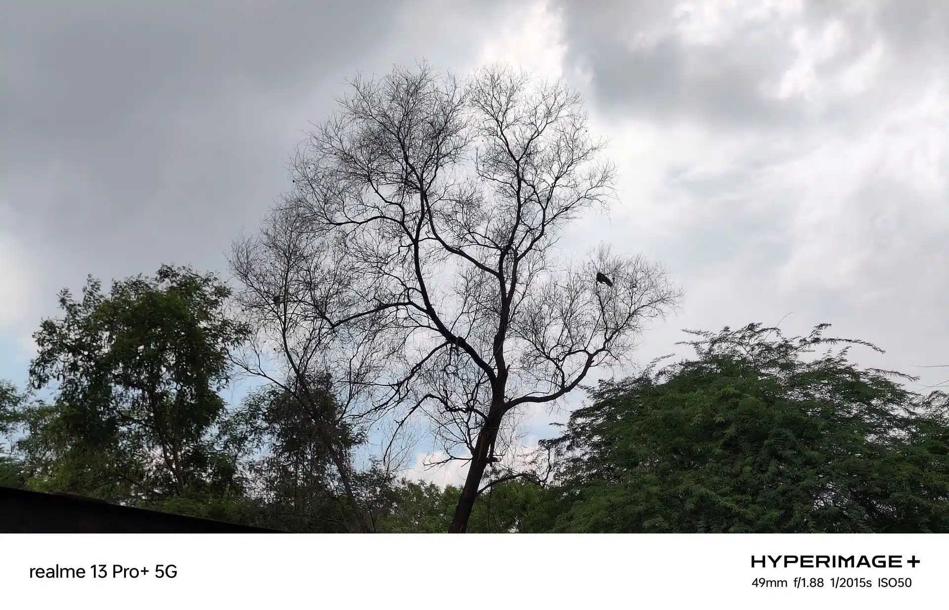 realme 13 Pro Camera Samples 8 1