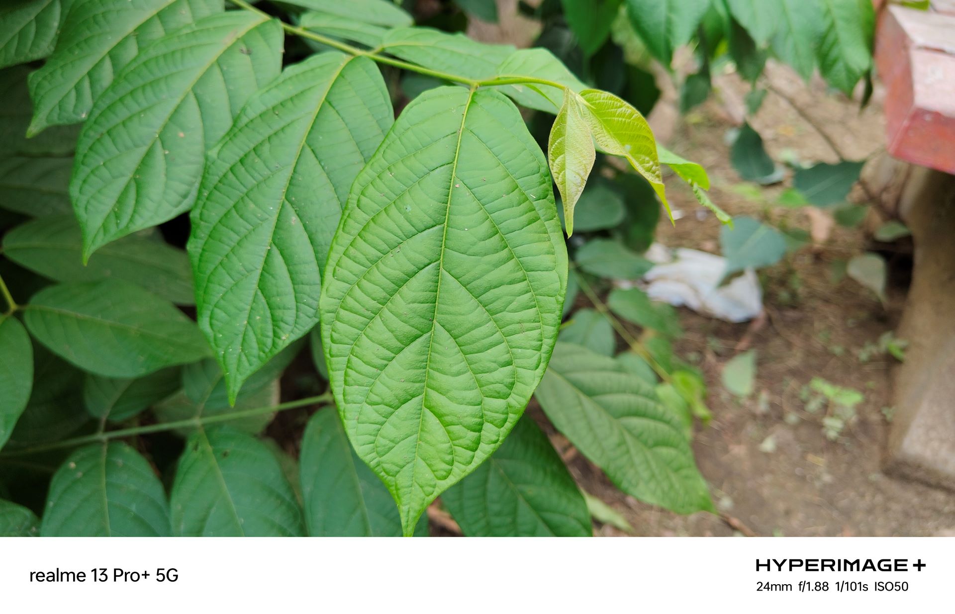 realme 13 Pro Review