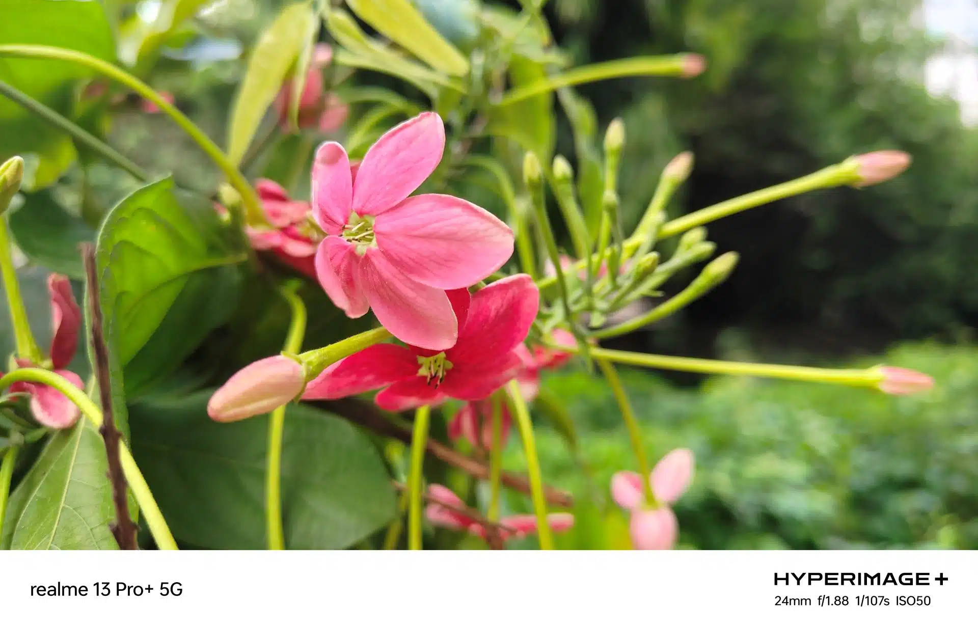 realme 13 Pro Review