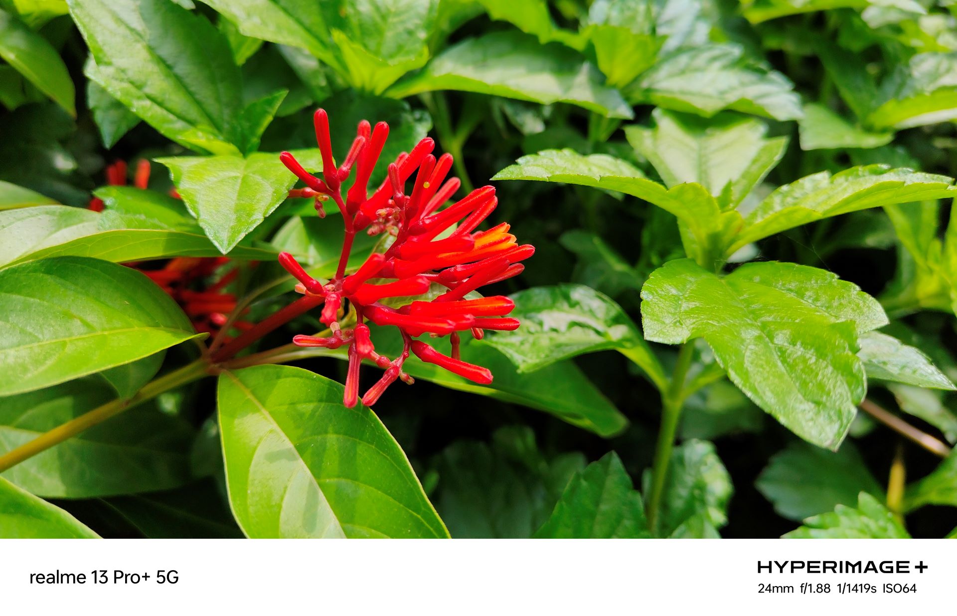 realme 13 Pro Review