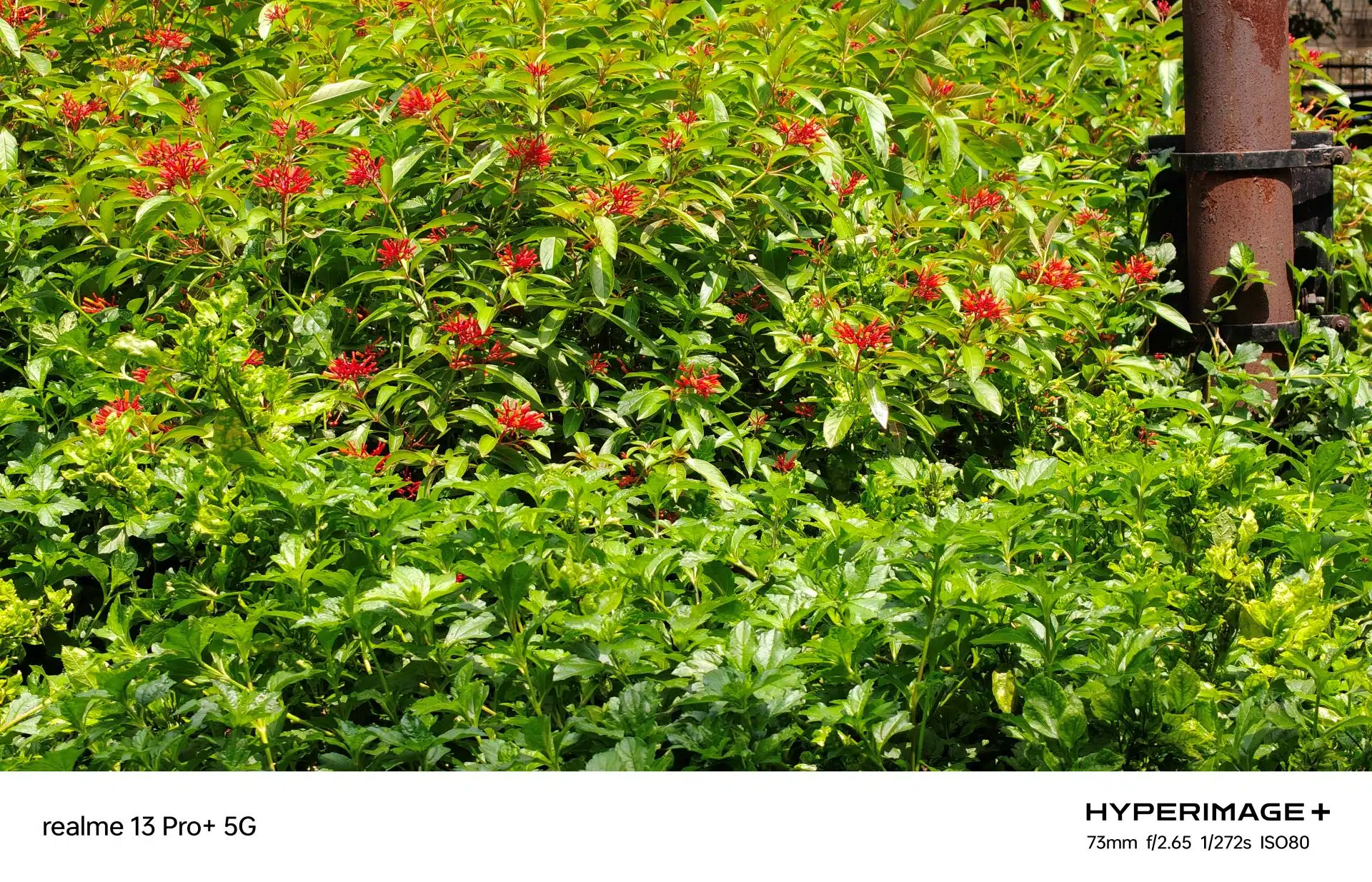 realme 13 Pro Review