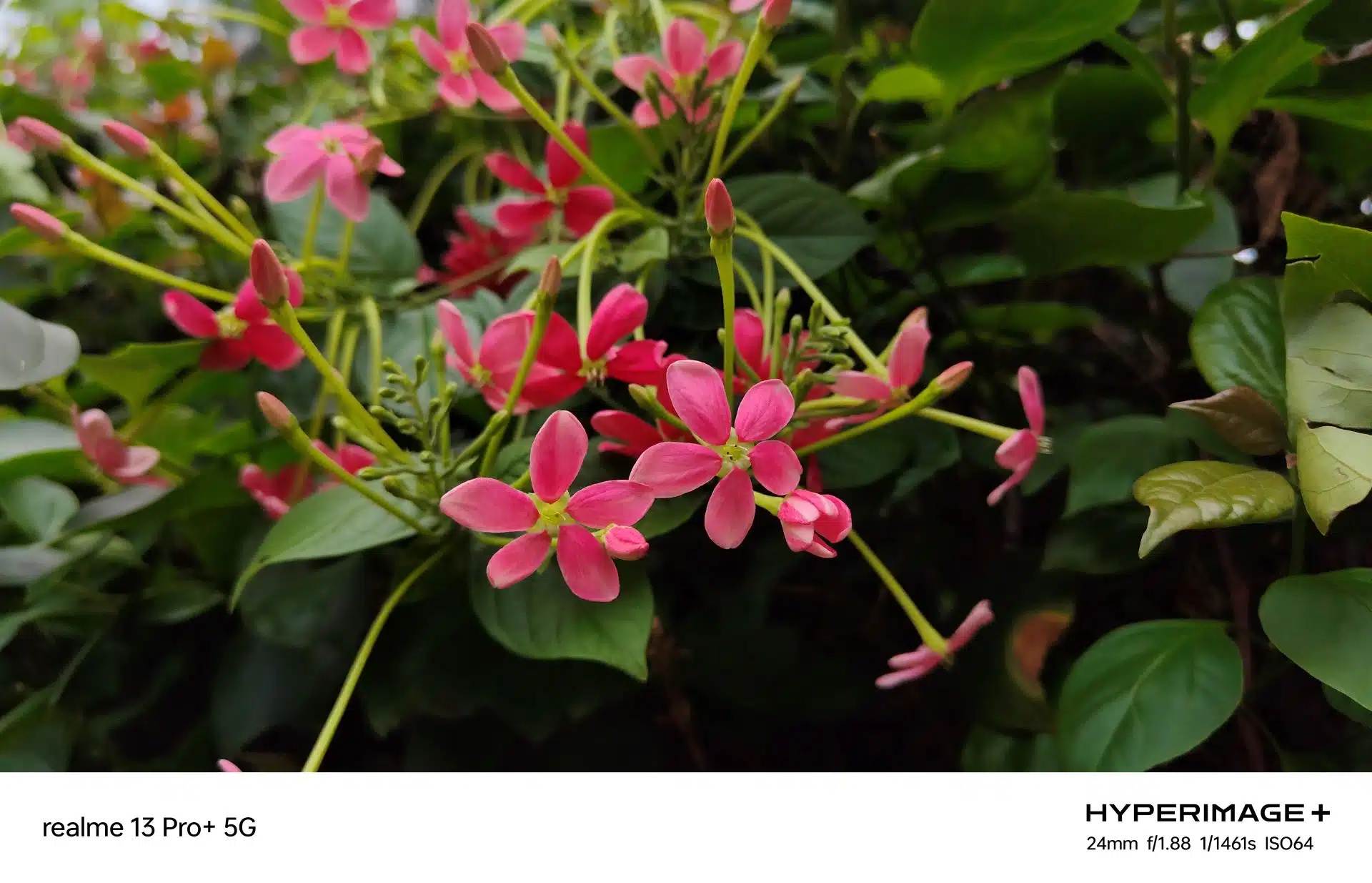 realme 13 Pro Review