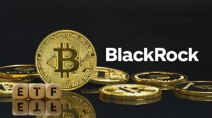 BlackRock's Bitcoin Bet