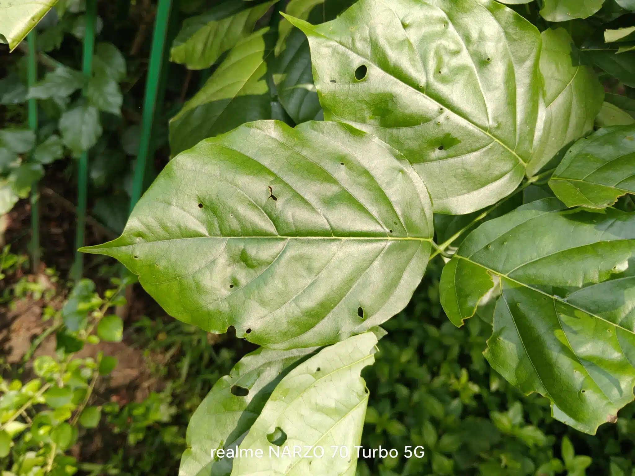 IMG20240909100532 scaled