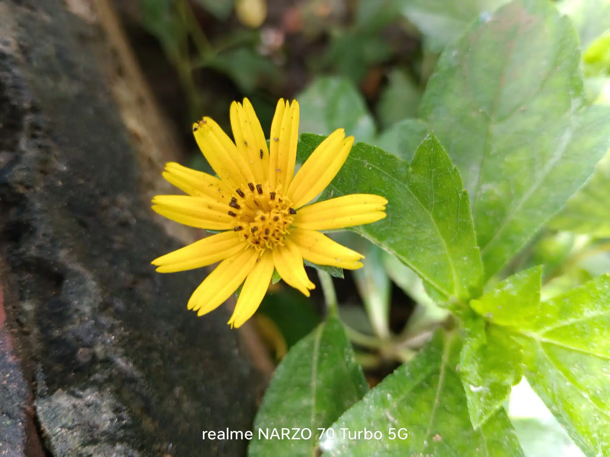 IMG20240909100614 scaled