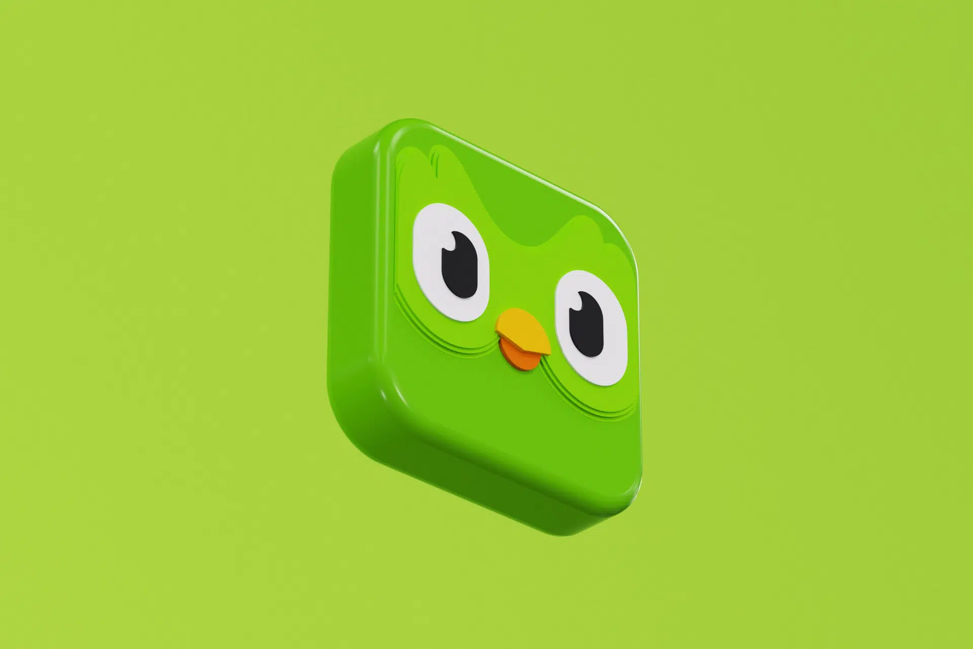 A Passport to Multilingualism